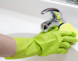 Annandale Maid Services