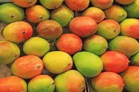 California investigan una enfermedad que ha afectado a 73 personas vinculado con mangos infectados con salmonela