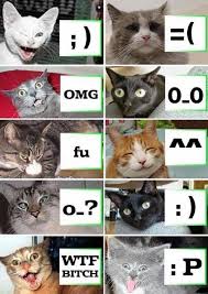 funny cats Images?q=tbn:ANd9GcRIPSXcd-iBBXhZ0TZH8-iuBjvaqlUljeIDlYwReAo9Fq2P5rfa5w