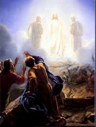 Jesus Transfigured and the Image of God