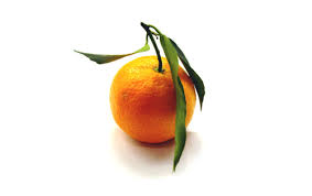 L'image “http://tbn0.google.com/images?q=tbn:G_uDJPDrSrsjjM:http://weblogs.variety.com/photos/uncategorized/clementine.jpg” ne peut être affichée car elle contient des erreurs.